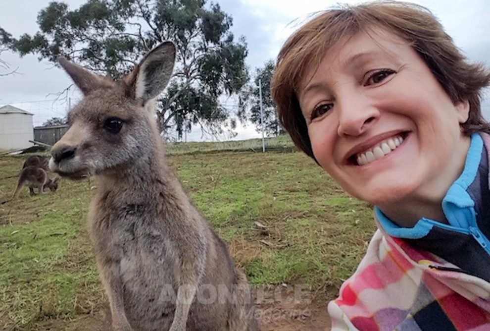 Sônia Bridi tira uma selfie com o canguru na Tasmânia