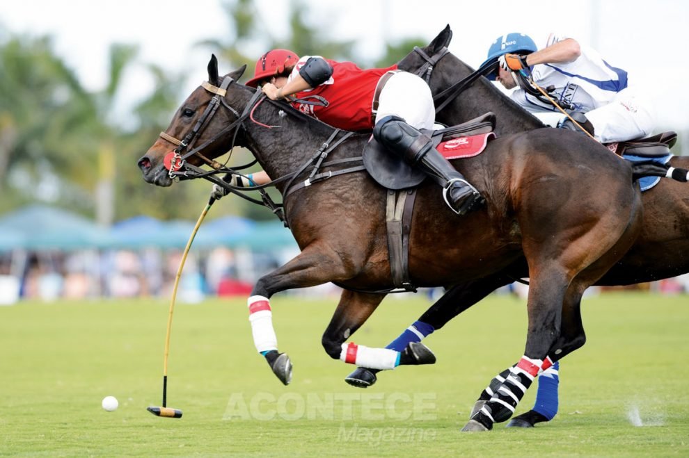 A beleza da harmonia entre o homem e o cavalo durante partida de polo