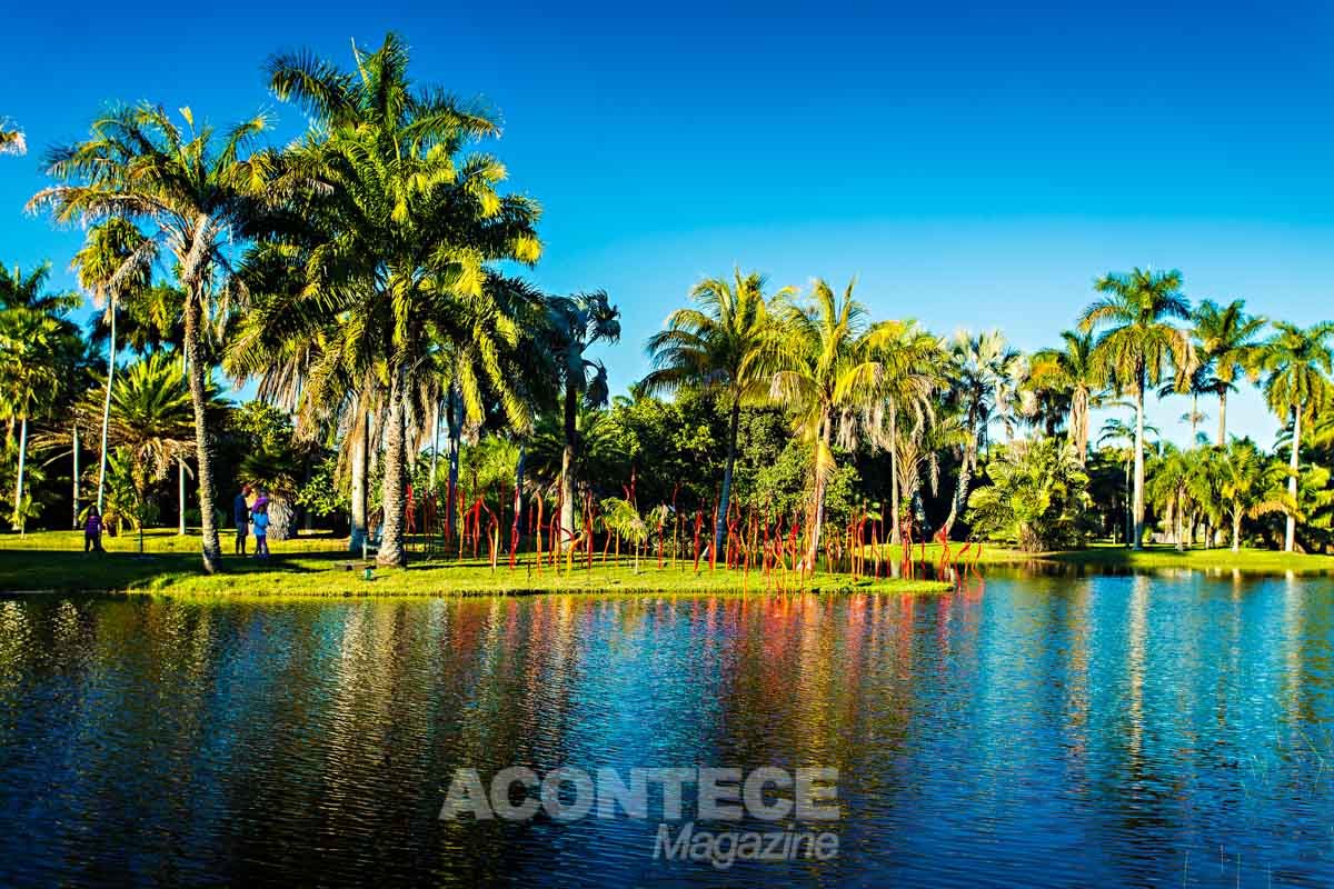 O Fairchild Tropical Bothanic Garden é riquíssimo em área verde e sempre tem exposições como a de Dale Chihuly