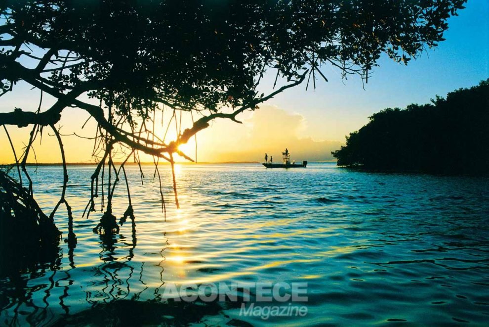 As ilhas de Sanibel e Captiva são boas opções para uma curta viagem de fim de semana