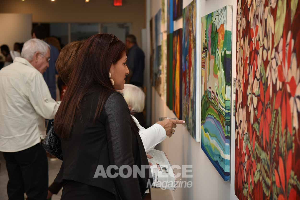 acontece_mag_20180201_artsouthbrazil-80