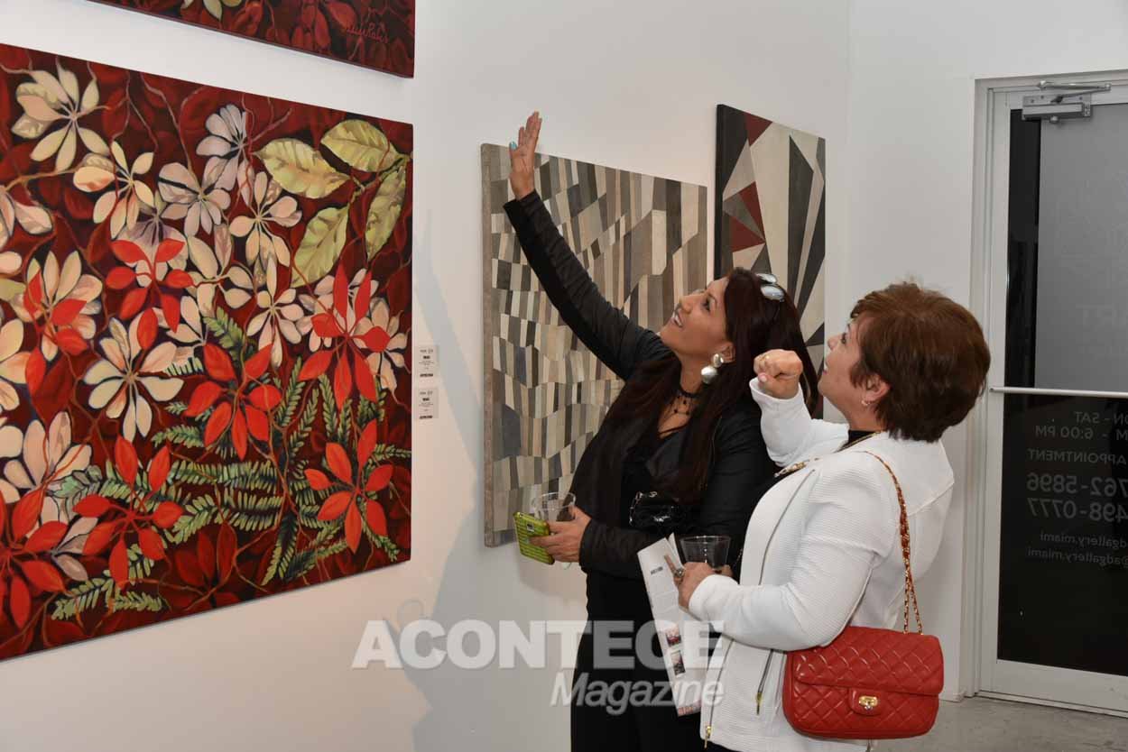 acontece_mag_20180201_artsouthbrazil-85