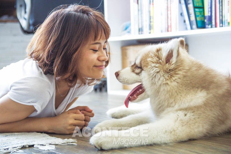 Mau hálito não é normal em pets. Leve seu animalzinho ao veterinário se sentir um hálito forte ou diferente