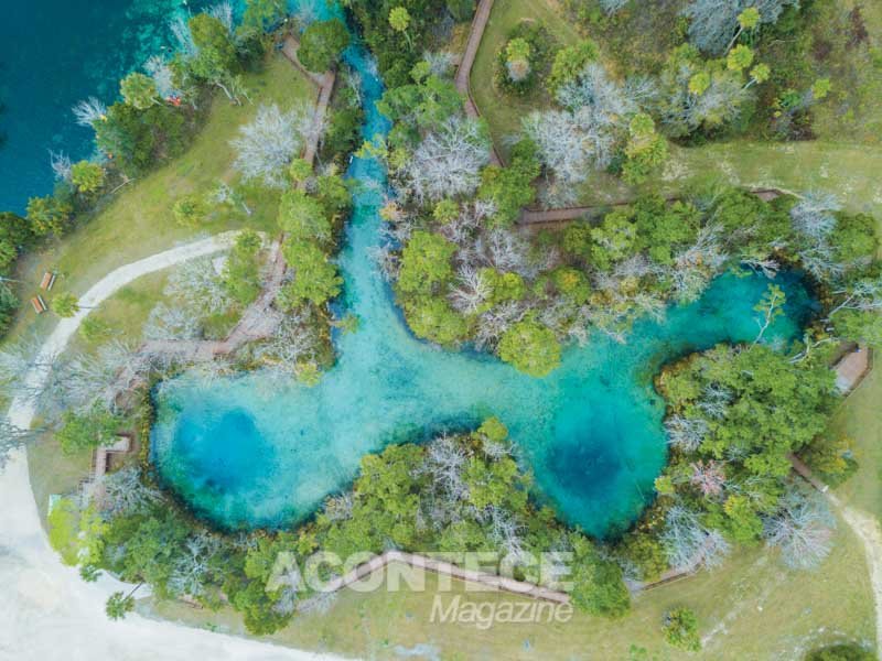 Three Sisters Springs, Crystal River