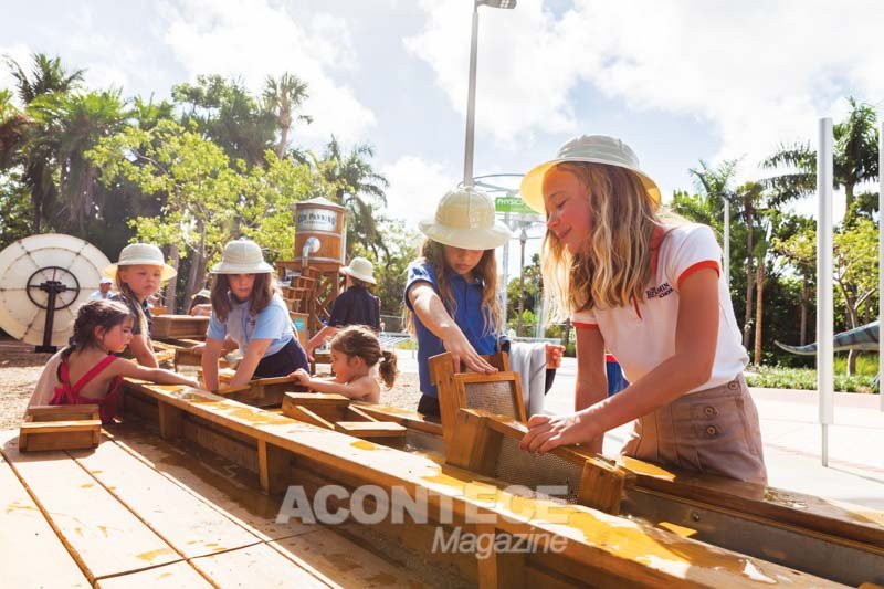 South Florida Science Center and Aquarium oferece Summer Camps para várias idades e diversas atividades