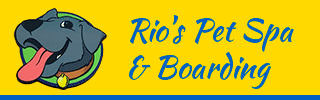 banner-rios-pet.gif
